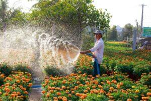 Jardinería