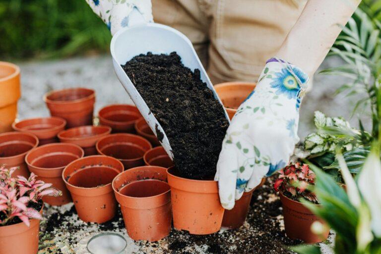 Producción de plantas ornamentales